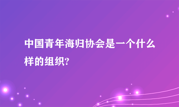 中国青年海归协会是一个什么样的组织?