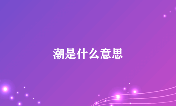 潮是什么意思