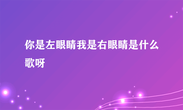 你是左眼睛我是右眼睛是什么歌呀