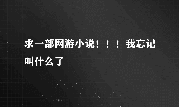 求一部网游小说！！！我忘记叫什么了