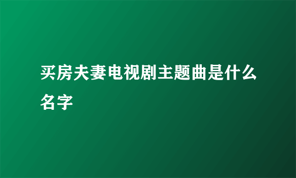 买房夫妻电视剧主题曲是什么名字