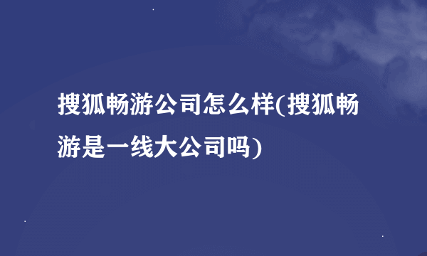 搜狐畅游公司怎么样(搜狐畅游是一线大公司吗)