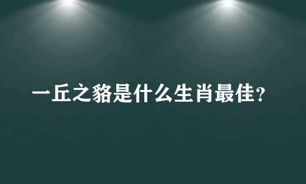 一丘之貉是什么生肖最佳？