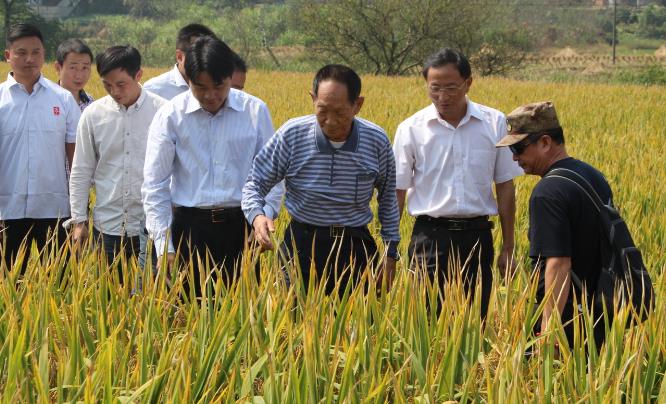 外媒集体为袁隆平刷屏，袁隆平在国际上的名声和地位如何？