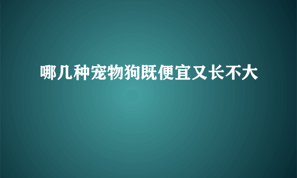 哪几种宠物狗既便宜又长不大