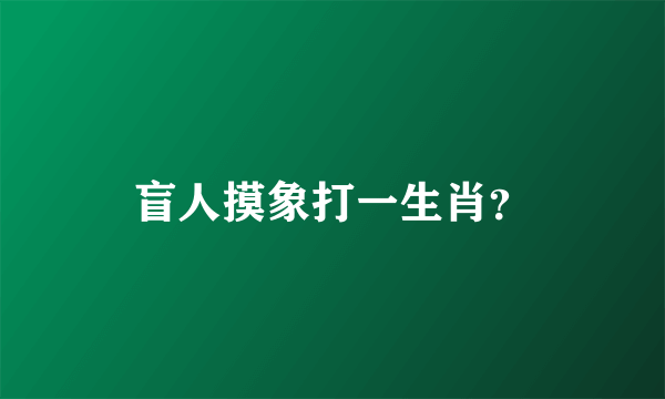 盲人摸象打一生肖？