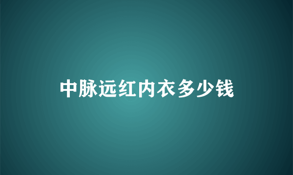 中脉远红内衣多少钱