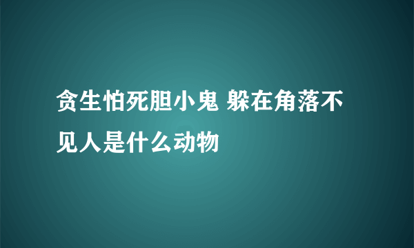 贪生怕死胆小鬼 躲在角落不见人是什么动物