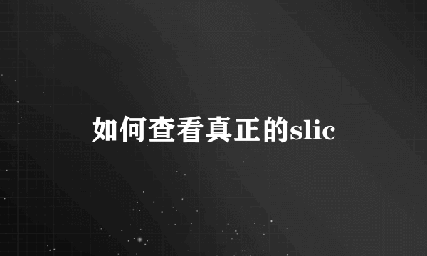 如何查看真正的slic