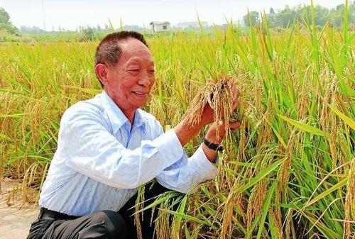 外媒集体为袁隆平刷屏，袁隆平在国际上的名声和地位如何？