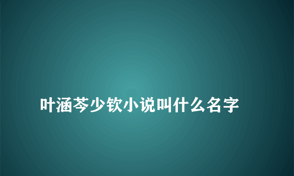 
叶涵芩少钦小说叫什么名字

