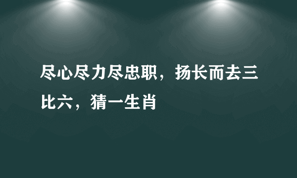 尽心尽力尽忠职，扬长而去三比六，猜一生肖