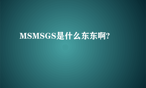 MSMSGS是什么东东啊?