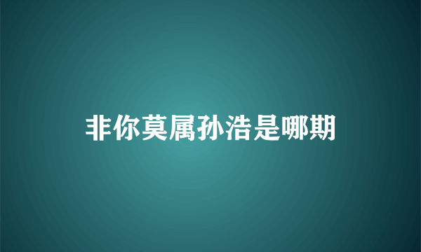 非你莫属孙浩是哪期