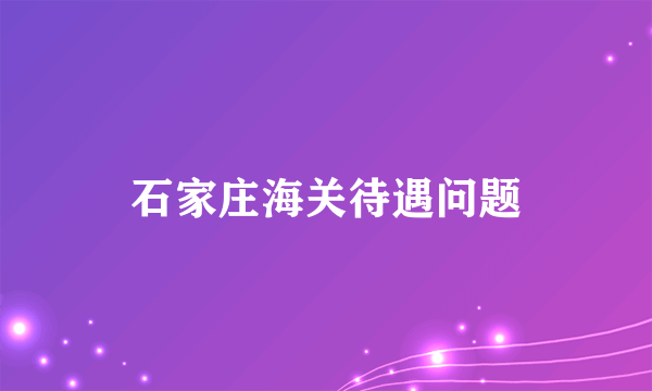 石家庄海关待遇问题