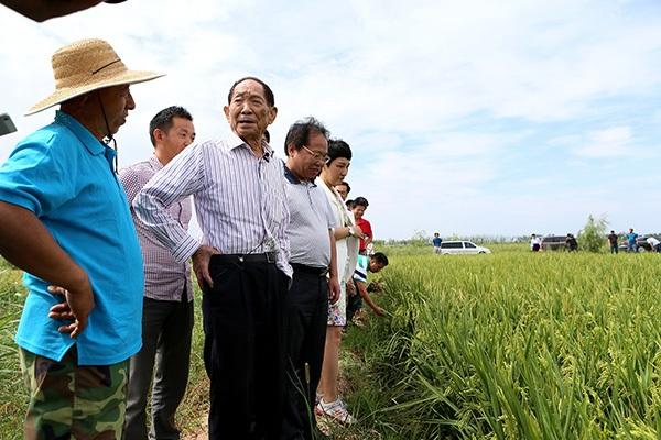 袁隆平雕像前布满花海，如何评价袁老的一生？