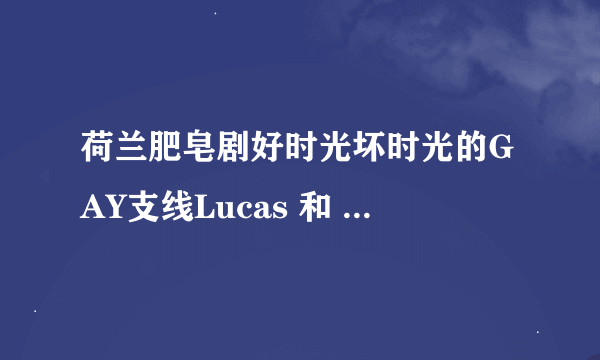 荷兰肥皂剧好时光坏时光的GAY支线Lucas 和 Edwin 的故事的结局是什么？