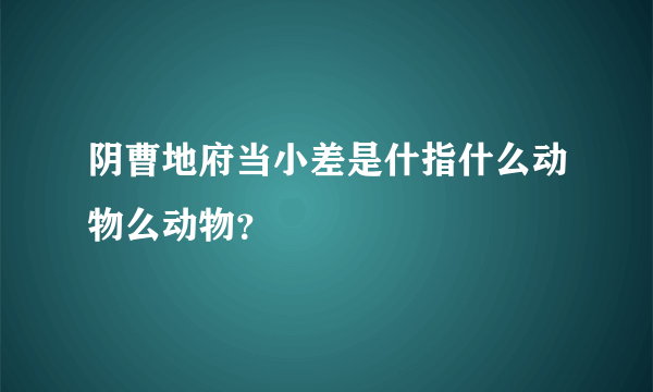 阴曹地府当小差是什指什么动物么动物？