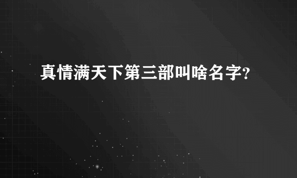 真情满天下第三部叫啥名字？