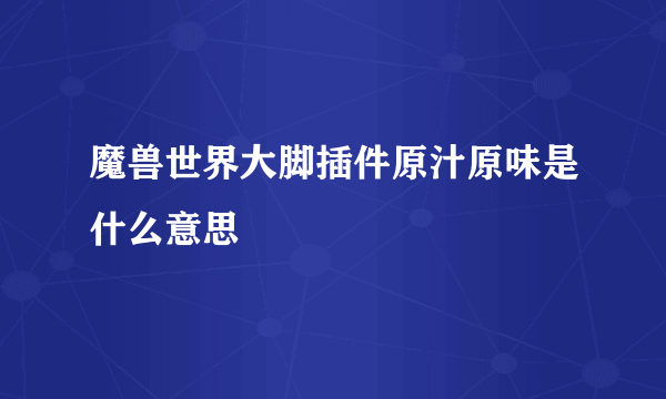 魔兽世界大脚插件原汁原味是什么意思