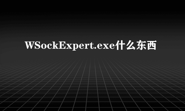 WSockExpert.exe什么东西