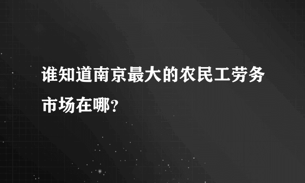 谁知道南京最大的农民工劳务市场在哪？