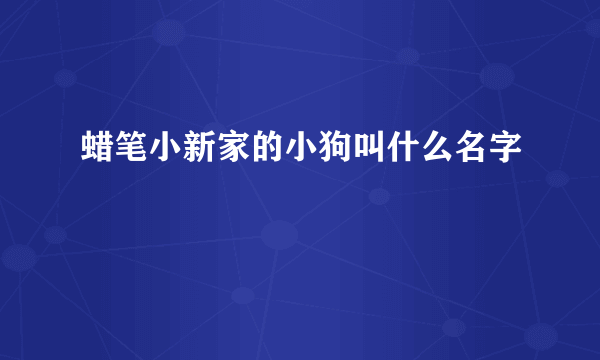 蜡笔小新家的小狗叫什么名字