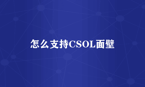 怎么支持CSOL面壁