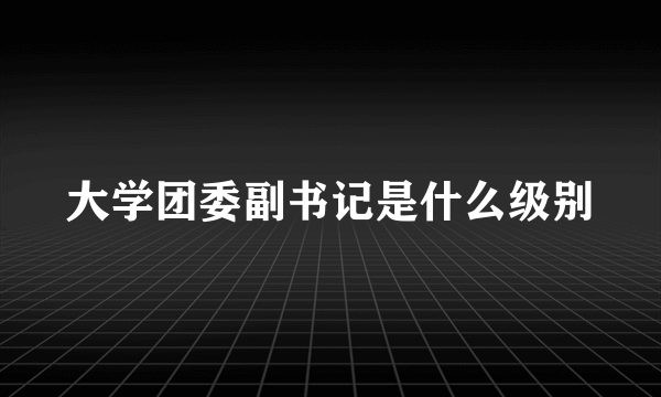 大学团委副书记是什么级别