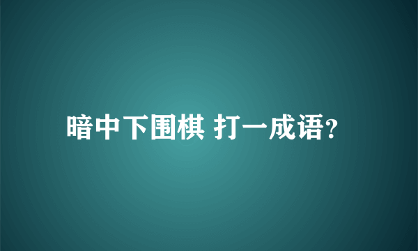 暗中下围棋 打一成语？