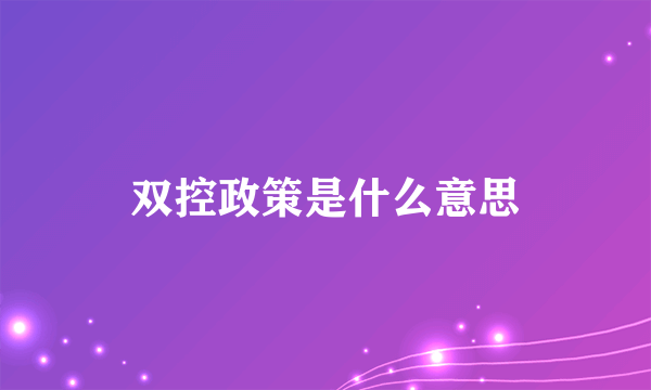 双控政策是什么意思