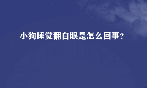 小狗睡觉翻白眼是怎么回事？