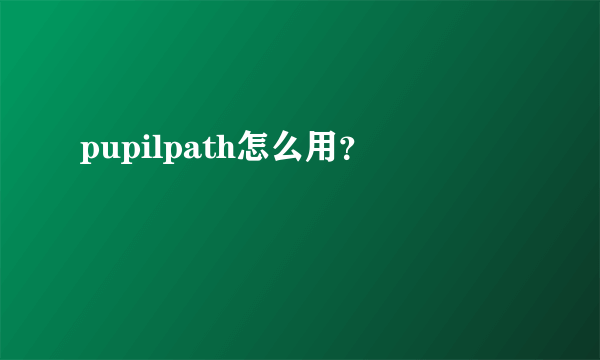 pupilpath怎么用？