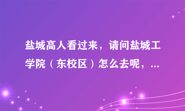 盐城高人看过来，请问盐城工学院（东校区）怎么去呢，听说那儿12月份有招聘会，在汽车站下车后打车贵吗？