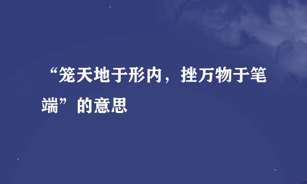 “笼天地于形内，挫万物于笔端”的意思