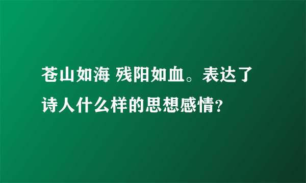 苍山如海 残阳如血。表达了诗人什么样的思想感情？