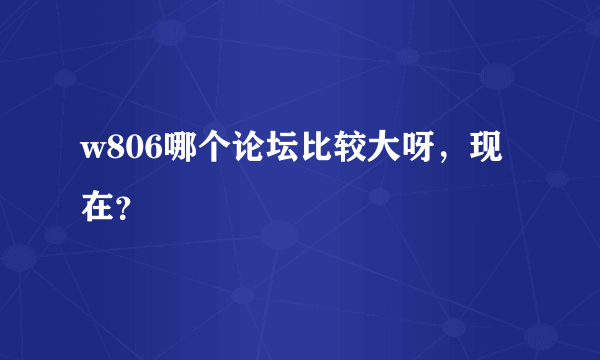 w806哪个论坛比较大呀，现在？