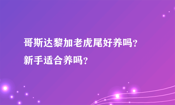 哥斯达黎加老虎尾好养吗？ 新手适合养吗？