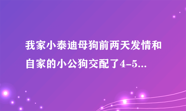 我家小泰迪母狗前两天发情和自家的小公狗交配了4-5次后，母狗先是呕吐，现阴部流暗褐色血水，怎么办↓？