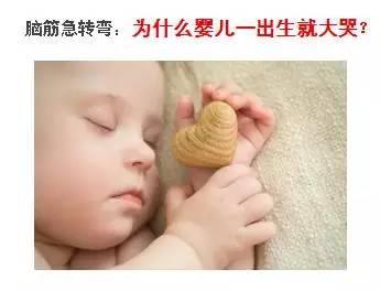 “豆腐”为什么能打伤人？