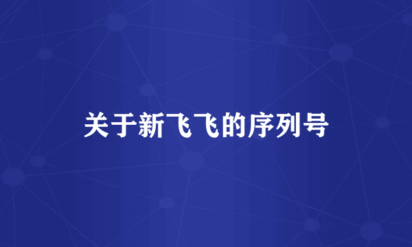 关于新飞飞的序列号