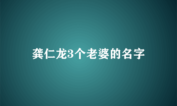 龚仁龙3个老婆的名字