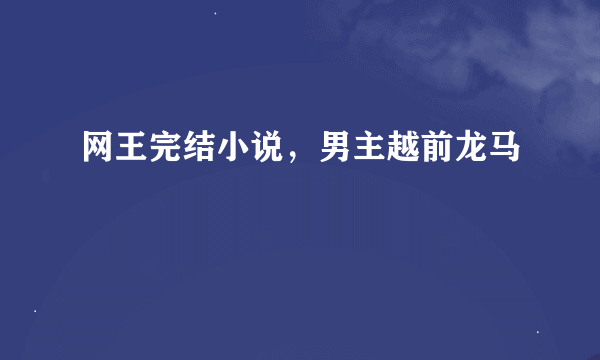 网王完结小说，男主越前龙马