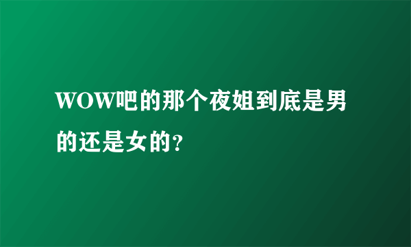 WOW吧的那个夜姐到底是男的还是女的？