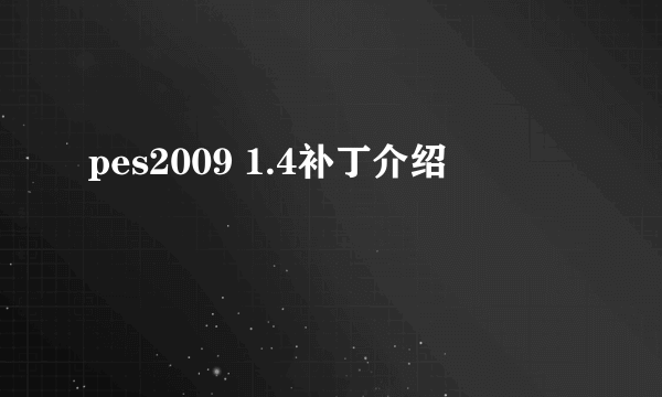 pes2009 1.4补丁介绍