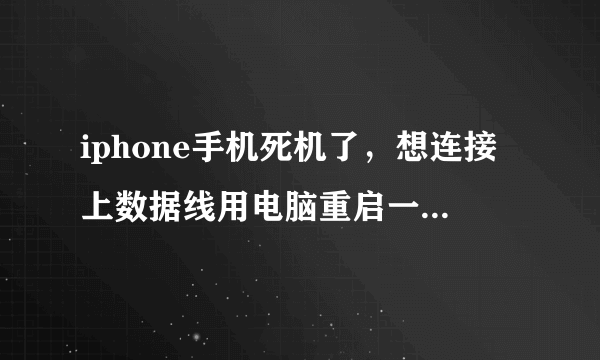 iphone手机死机了，想连接上数据线用电脑重启一下，可连接电脑业没显示了，怎么办？