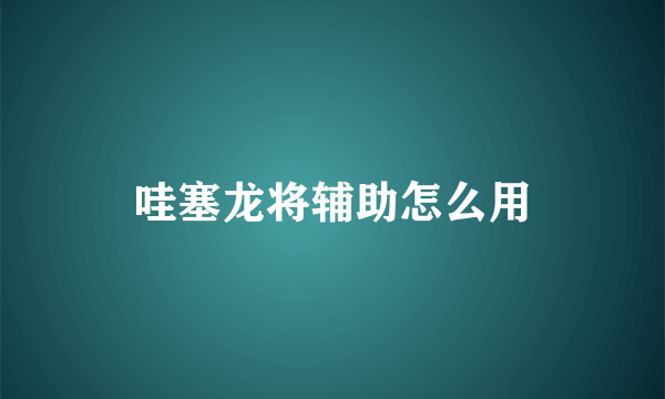 哇塞龙将辅助怎么用