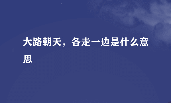 大路朝天，各走一边是什么意思