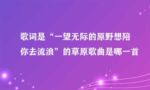 歌词是“一望无际的原野想陪你去流浪”的草原歌曲是哪一首