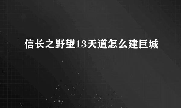 信长之野望13天道怎么建巨城